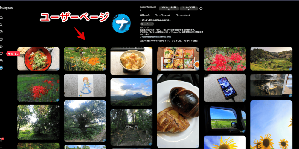 「Browse Instagram as an inspirational board」拡張機能を使ってみた画像4