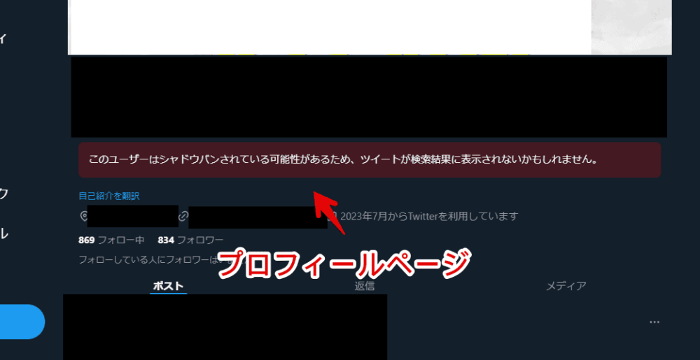 「Shadowban Scanner」拡張機能でアカウント単位のシャドウバンとセンシティブフラグを検出した画像1