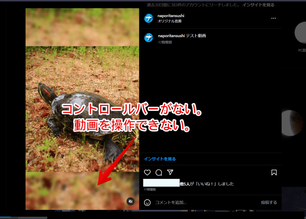 PCウェブサイト版「Instagram」のリール動画画像