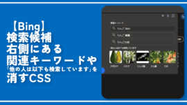 【Bing】検索候補右側にある関連キーワードや「他の人は」を消すCSS