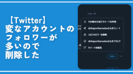 【Twitter】変なアカウントのフォロワーが多いので削除した