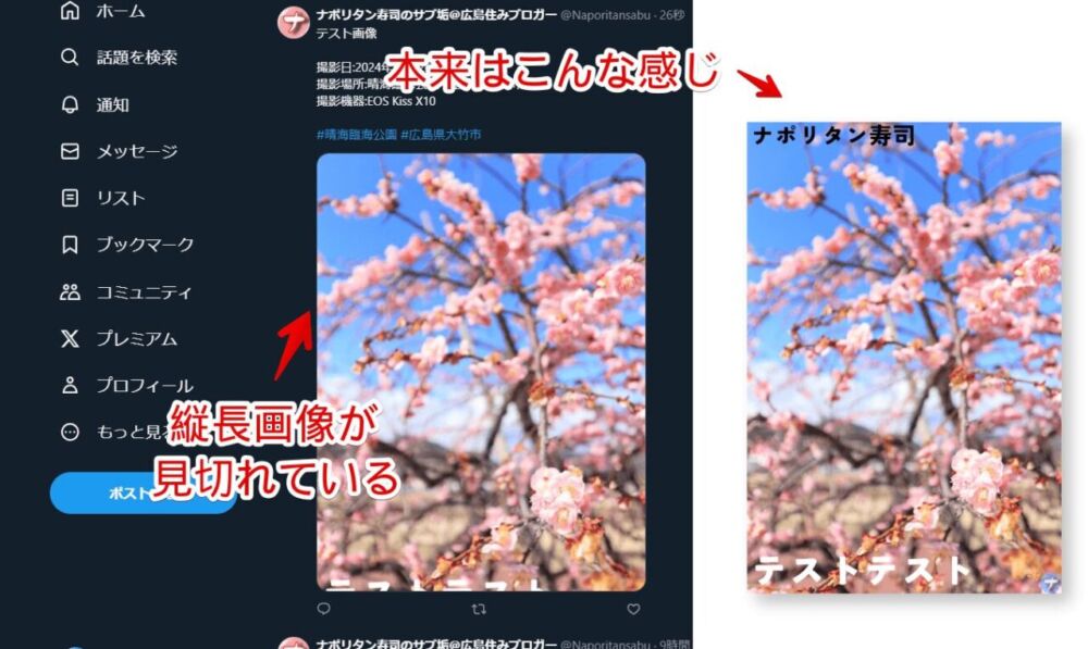 PCブラウザ版「X（旧Twitter）」の縦長画像が見切れている画像