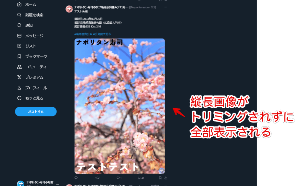 「Twitter Large Thumbnails」拡張機能を導入した状態の縦長画像