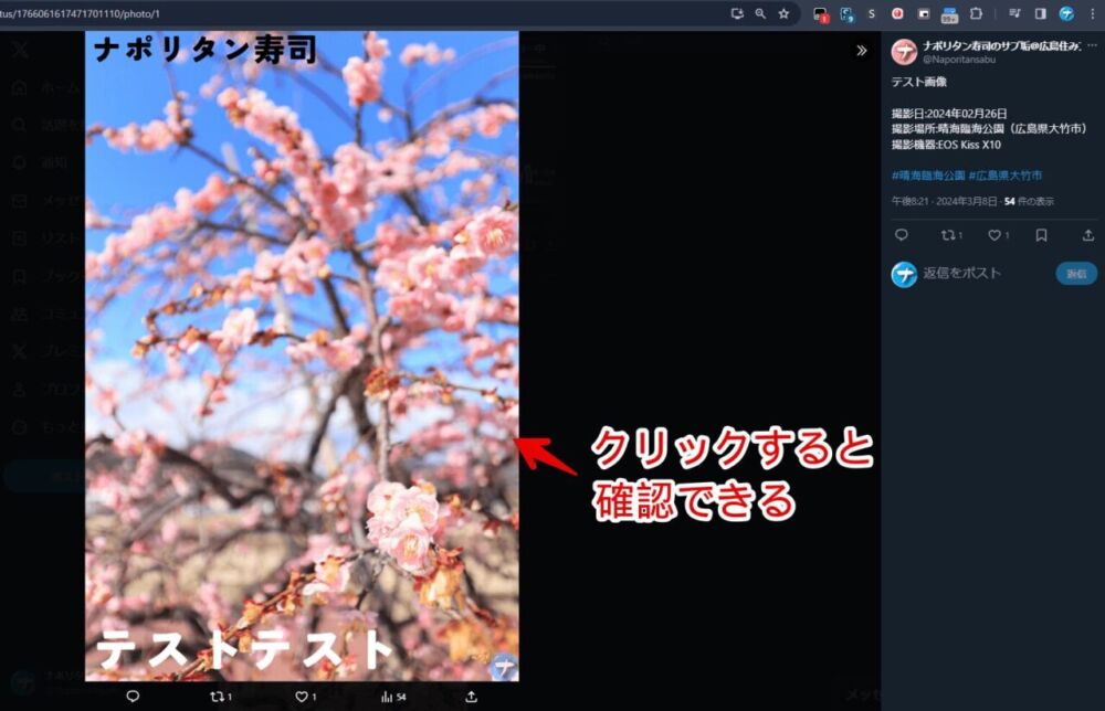 PCブラウザ版「X（旧Twitter）」の縦長画像をクリックして開いている画像