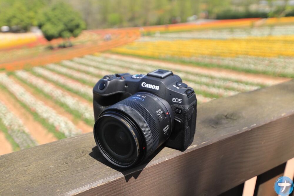 広島県世羅郡世羅町にある世羅高原農場で撮影した「EOS R8」の写真
