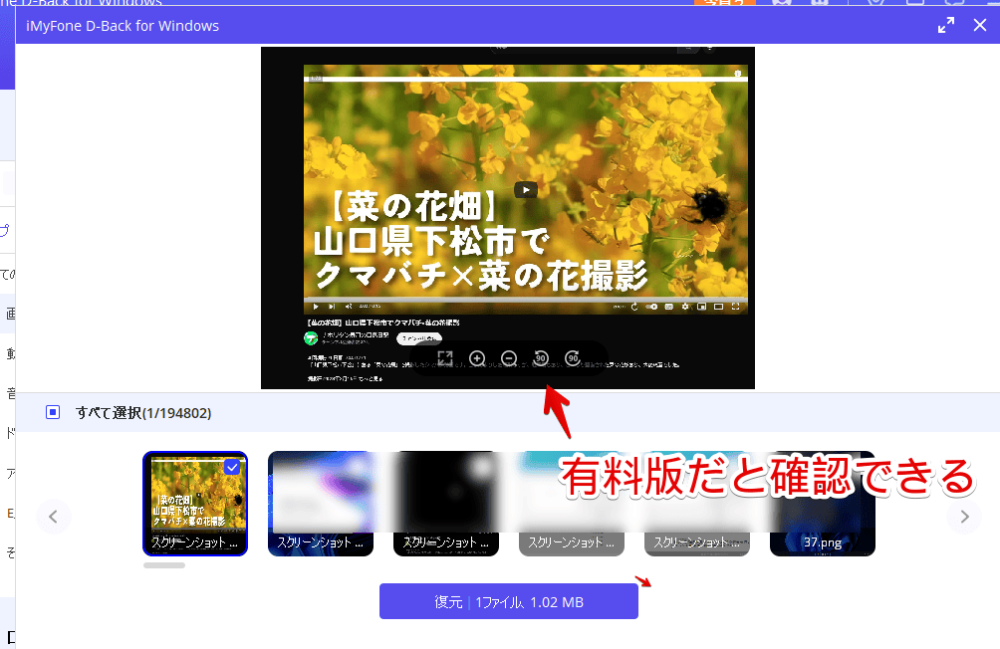 「iMyFone D-Back for Windows」の有料版で画像のプレビューを確認している画像