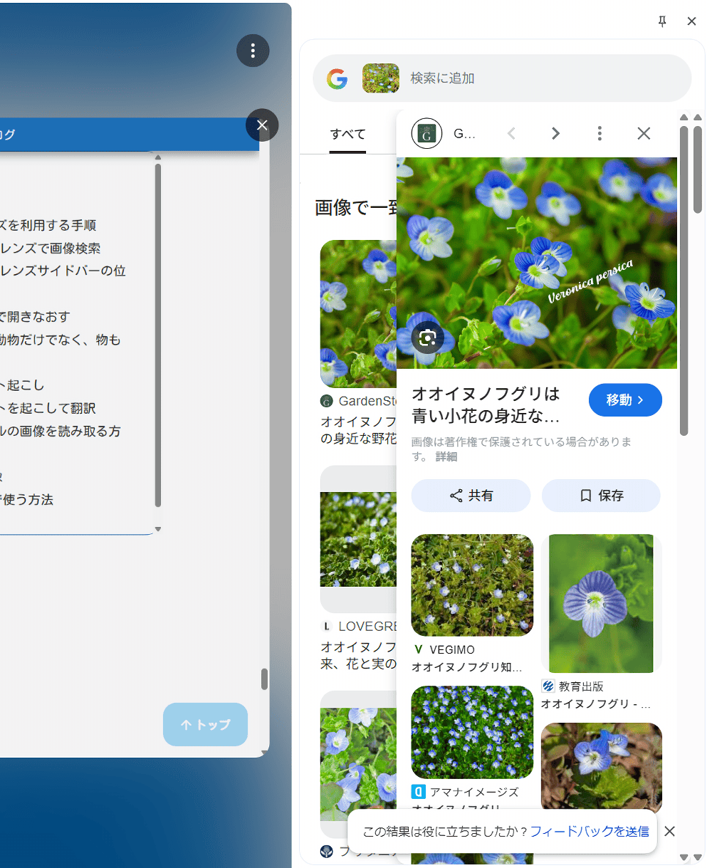 PC版Chromeで「Googleレンズで検索」を利用してサイドバーで調べた画像