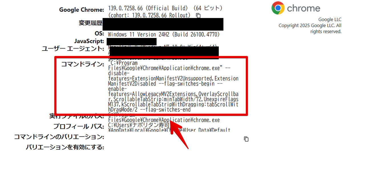 「chrome://version/」から現在適用しているパラメータを確認する手順画像