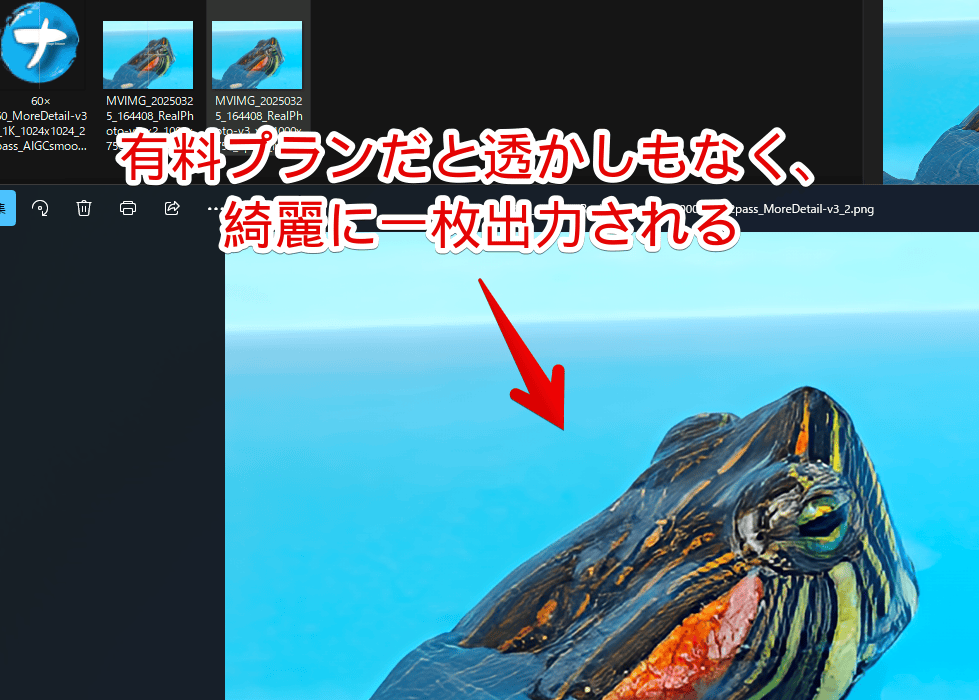 「Aiarty Image Enhancer」の有料版にしてから保存した亀の写真