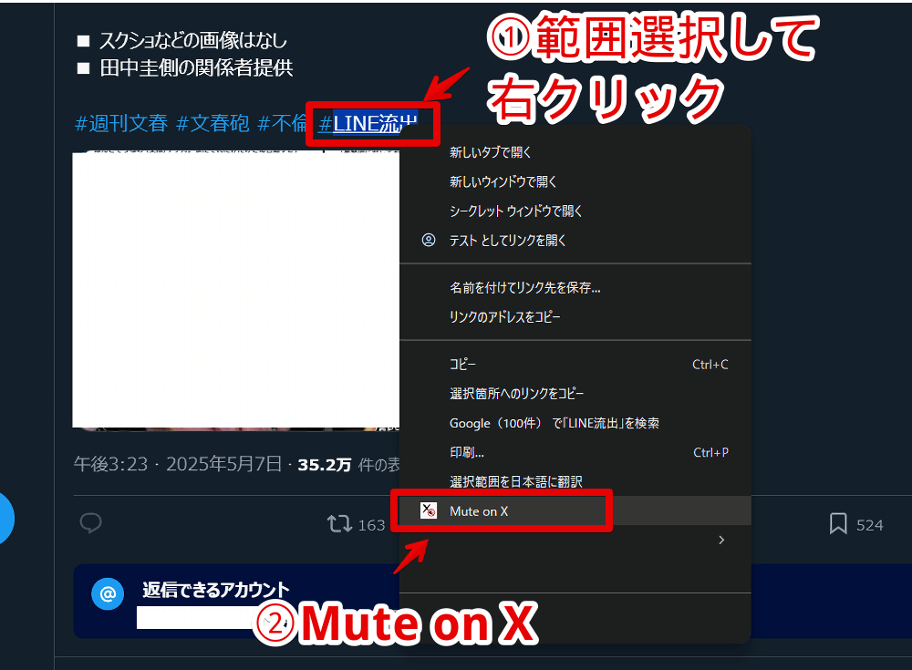 「Easy Mute Words for X」拡張機能を利用する手順画像2