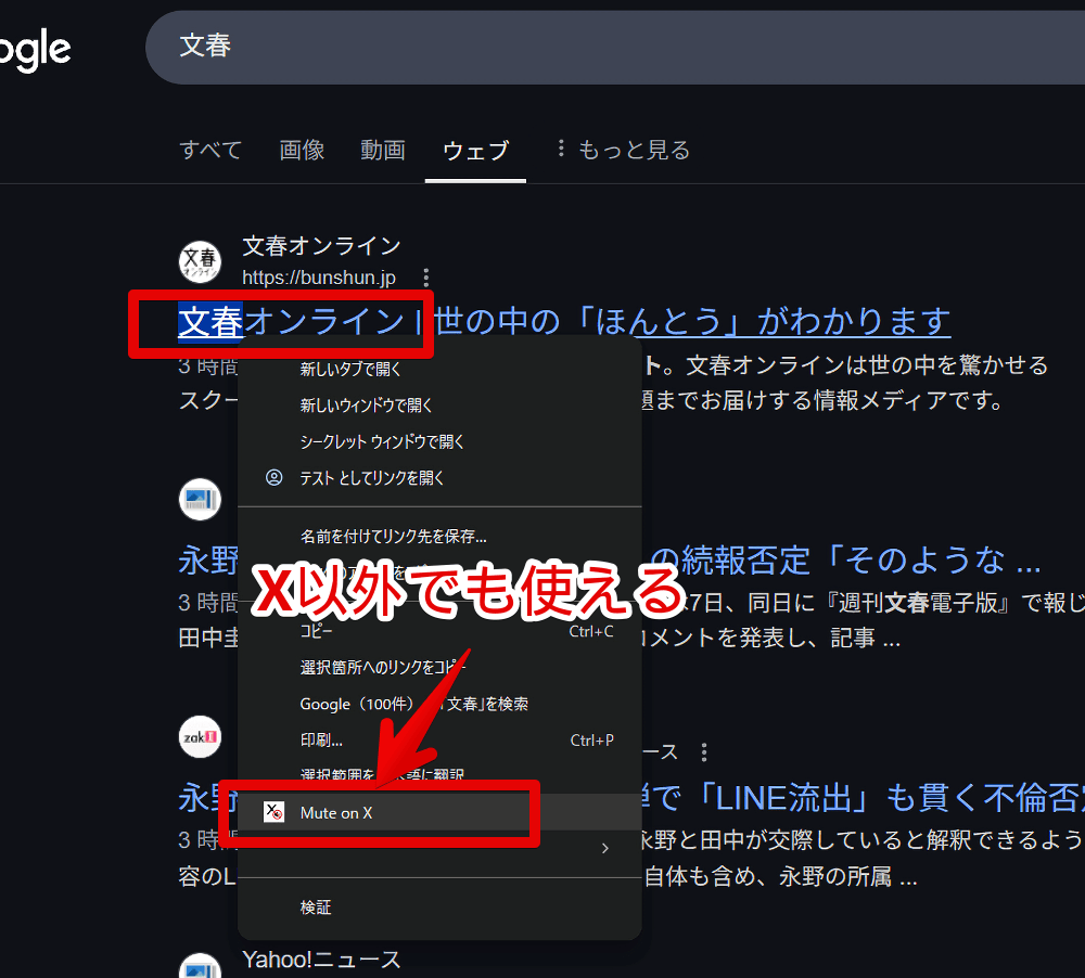 「Easy Mute Words for X」拡張機能をGoogle検索結果上で利用する手順画像1