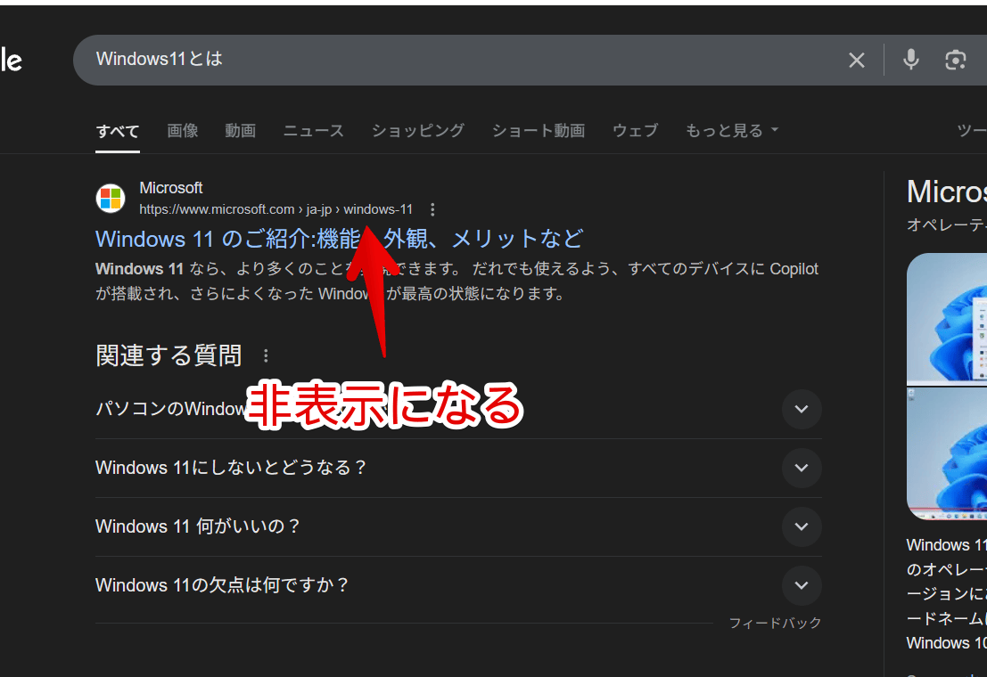 PC版「Google」の検索結果上部に表示される「Search LabsのAIによる概要」をCSSで非表示にした画像