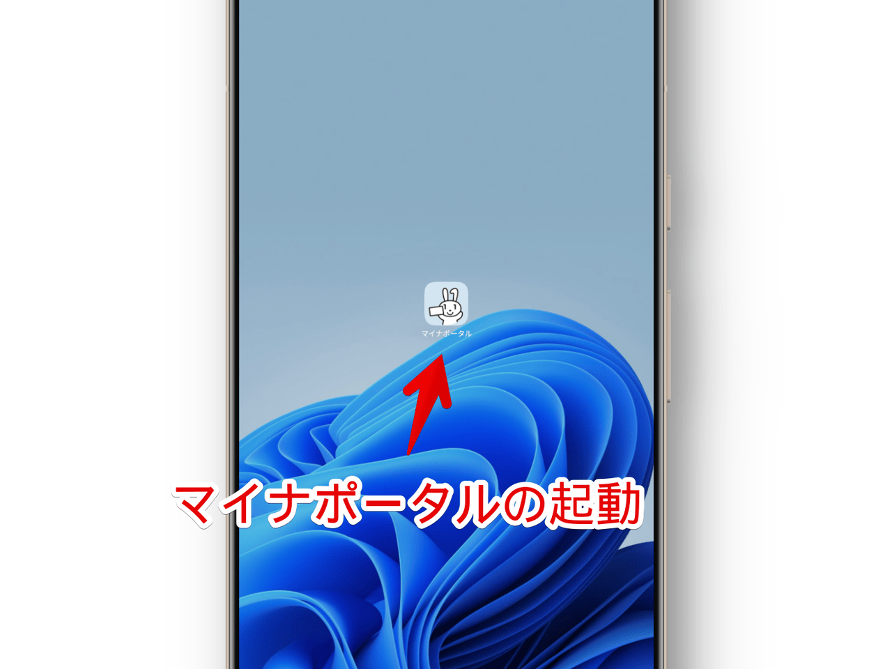 Androidスマホ(Xiaomi 15 Ultra)でマイナポータルを起動する手順画像