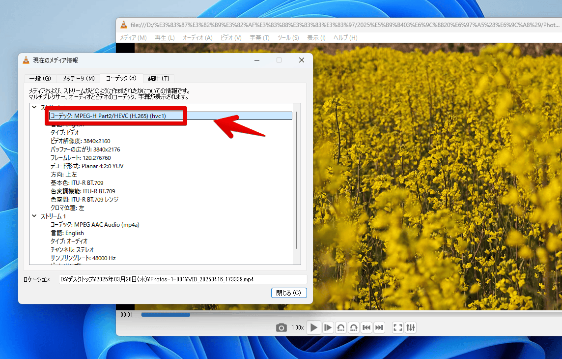 VLCメディアプレーヤーで動画がH.265かどうか調べる手順画像
