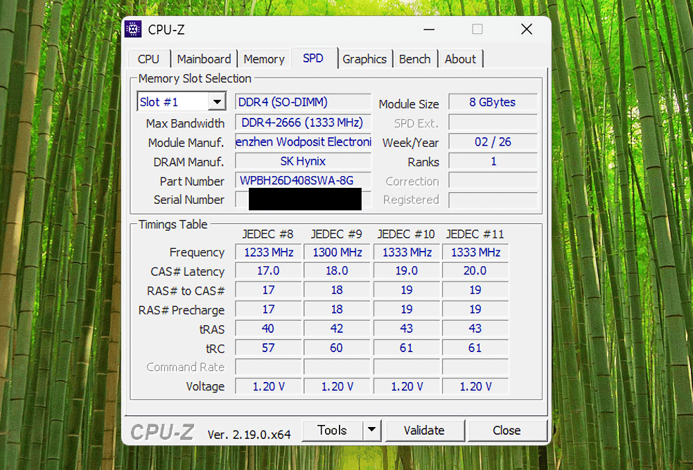 GEEKOM A5 Pro 2026のCPU-Z(SPDページ)