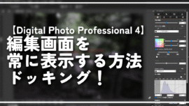 【Digital Photo Professional 4】編集画面を常に表示する方法。ドッキング！