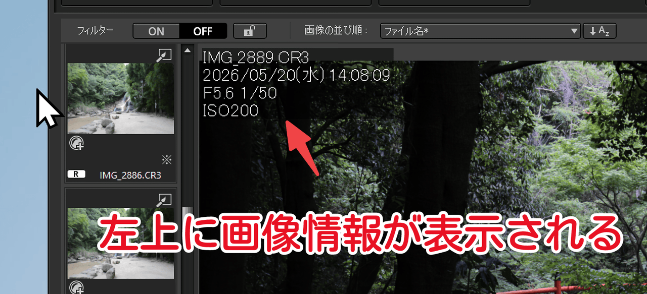 「Digital Photo Professional 4」で画像にプロパティを表示
