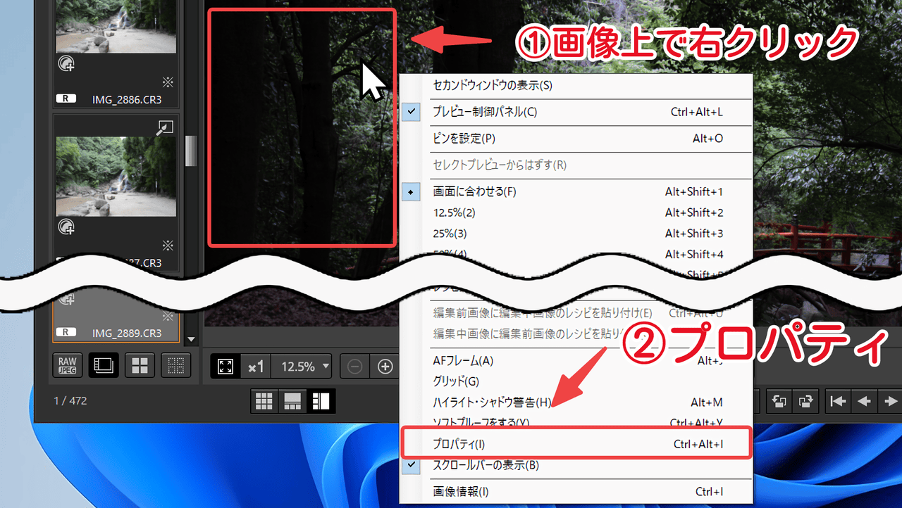「Digital Photo Professional 4」でプロパティを表示する手順