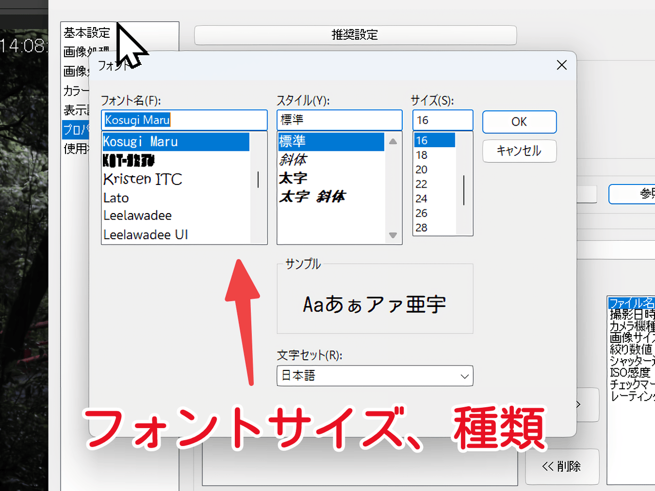 「Digital Photo Professional 4」のプロパティのフォント変更