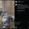 Video Control for Instagram – 🦊 Firefox (ja) 向け拡張機能を入手